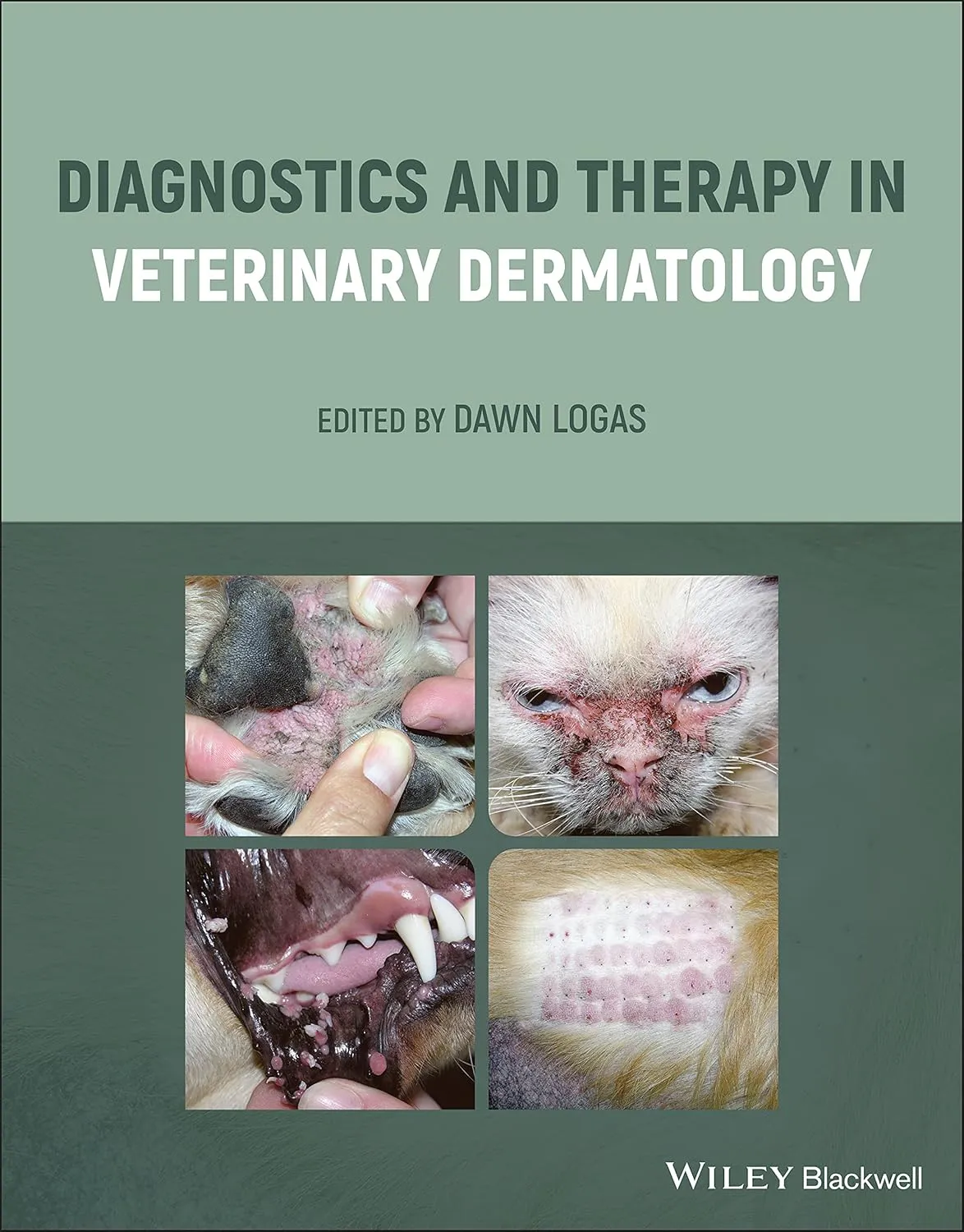 Diagnostics And Therapy In Veterinary Dermatology | Hardcover