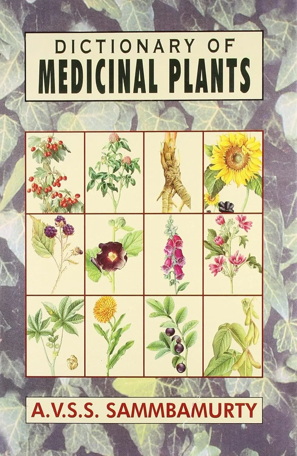 Dictionary of Medicinal Plants | Paperback