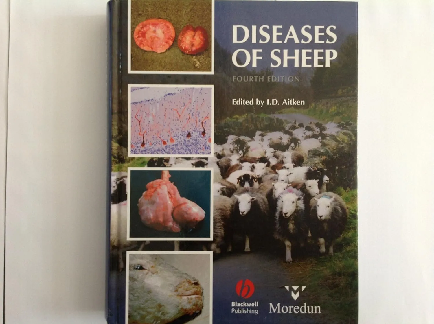 Diseases of Sheep | 4th Edition | Hardcover