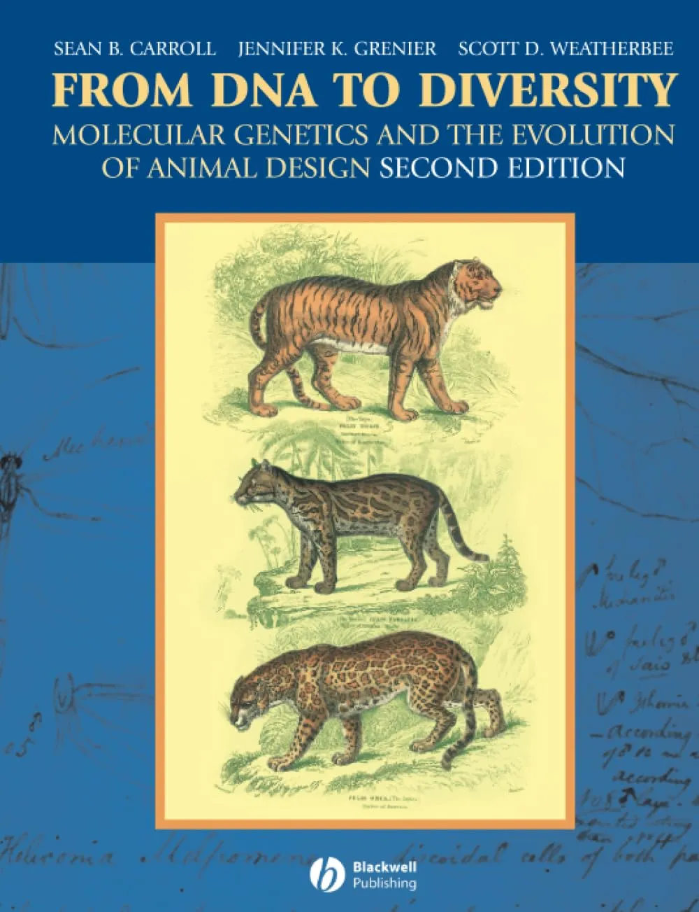 From DNA to Diversity Molecular Genetics and the Evolution of Animal Design | 2nd Edition | Paperback