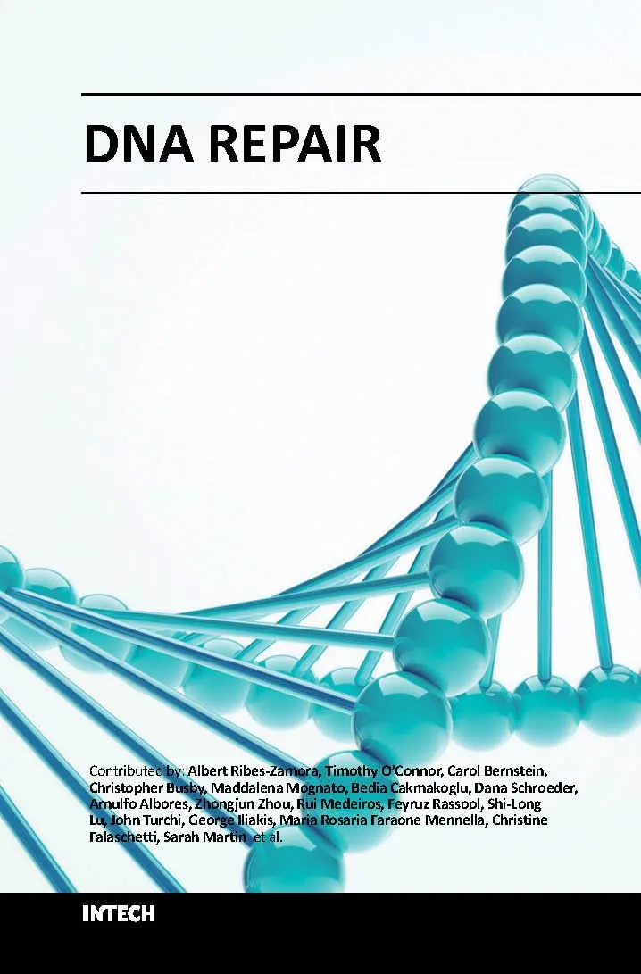Dna Repair | Hardcover