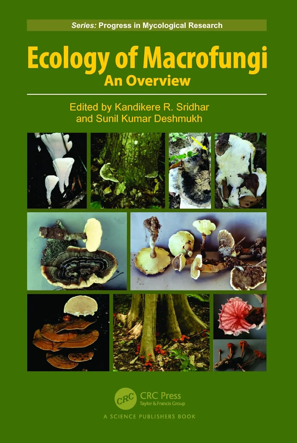 Ecology Of Macrofungi An Overview | Hardcover