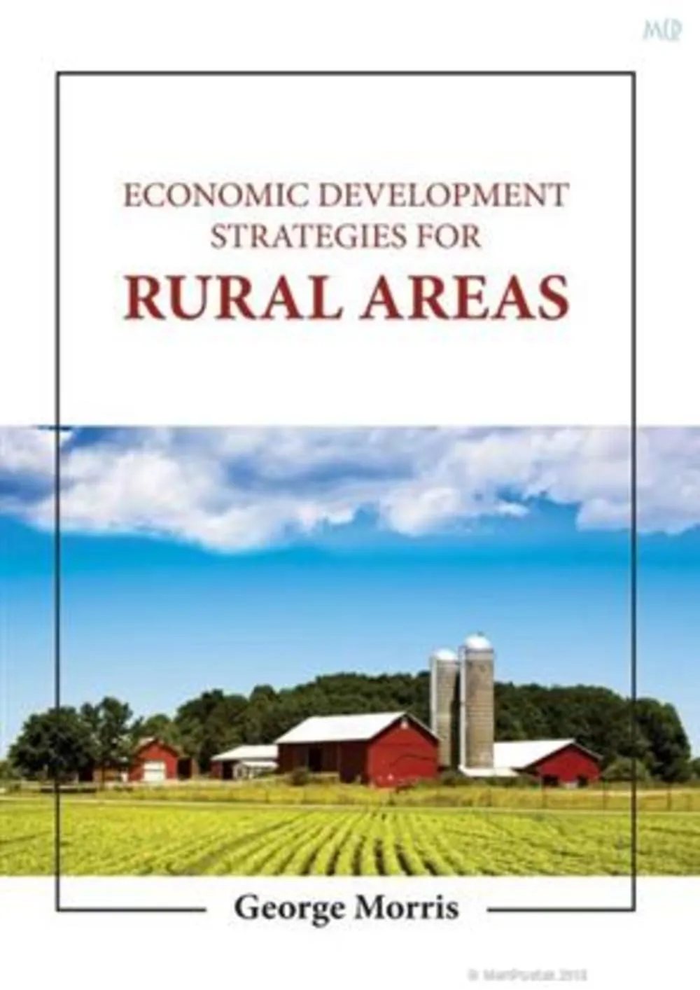 Economic Development Strategies For Rural Areas | Hardcover