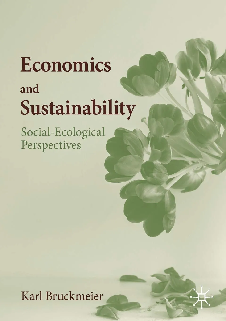 Economics And Sustainability Social Ecological Perspectives | Paperback