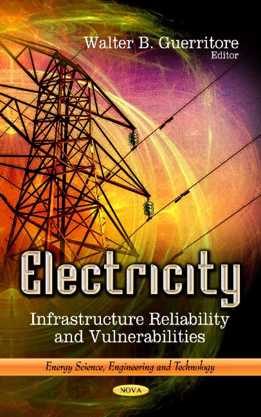 Electricity Infrastructure Reliability and Vulnerabilities | Hardcover