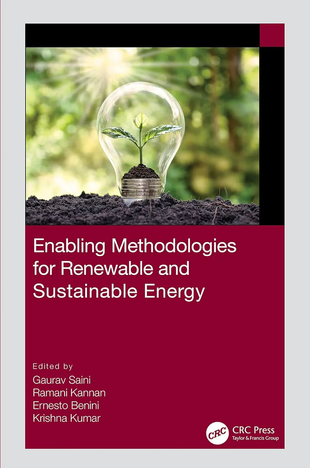 Enabling Methodologies For Renewable And Sustainable Energy | Hardcover