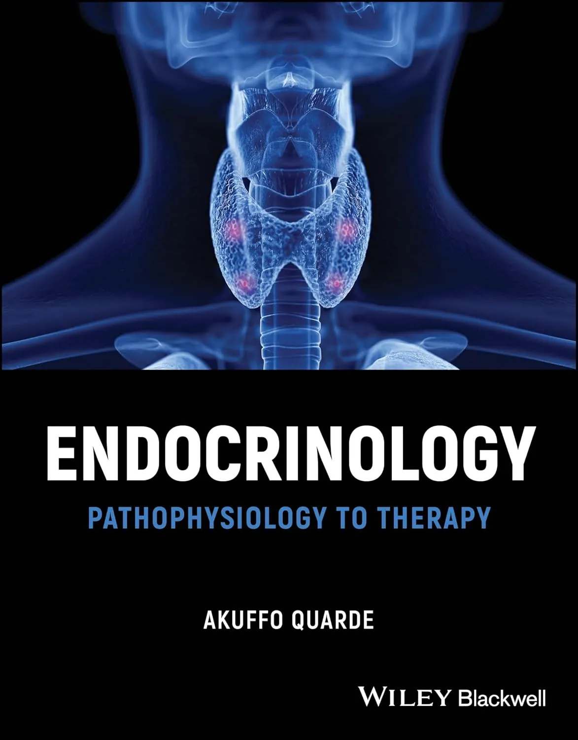 Endocrinology Pathophysiology To Therapy | Paperback