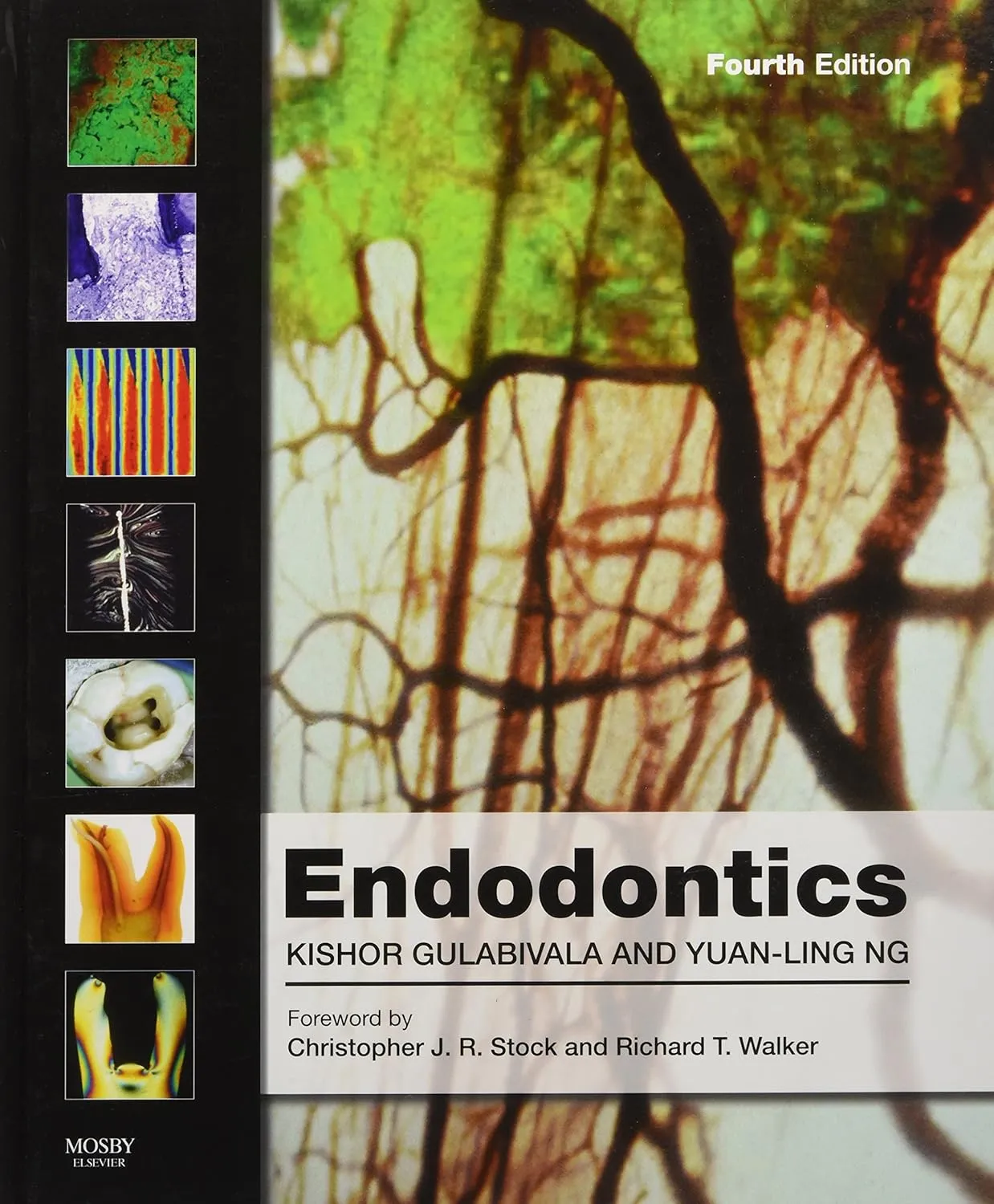 Endodontics | 4th Edition | Hardcover
