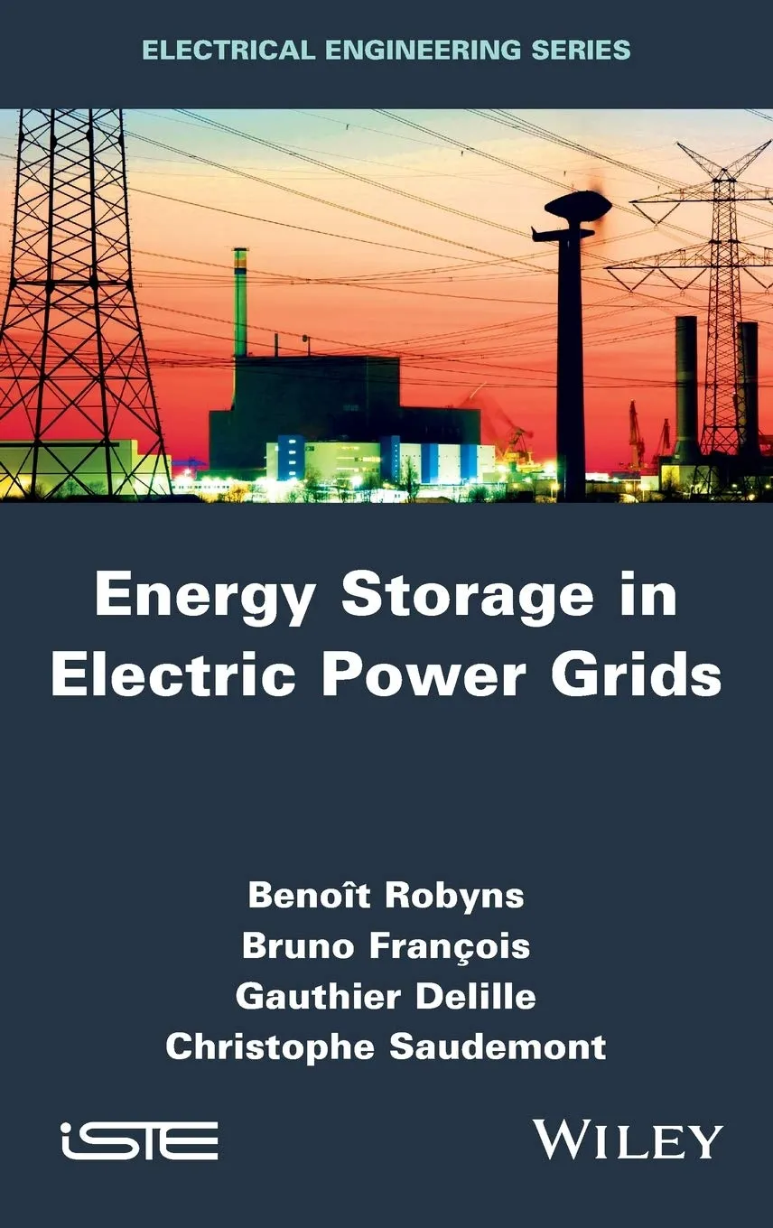 Energy Storage in Electric Power Grids | Hardcover