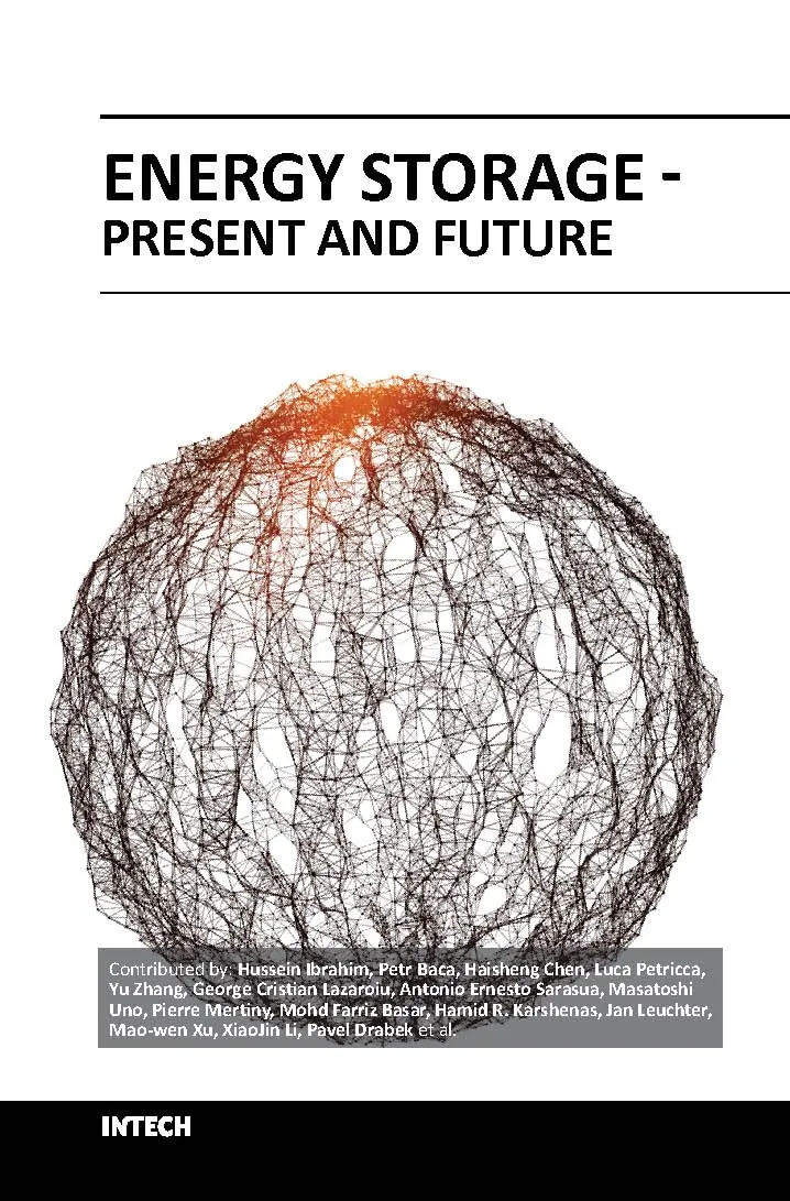 Energy Storage Present and Future | Hardcover