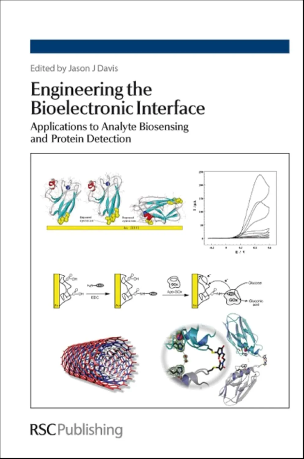 Engineering The Bioelectronic Interface Application to Analyte Biosensing and Protein Detection | Hardcover