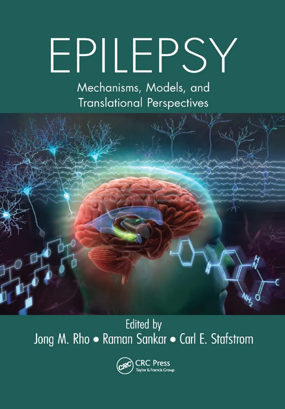 Epilepsy Mechanisms Models and Translational Perspectives | Paperback