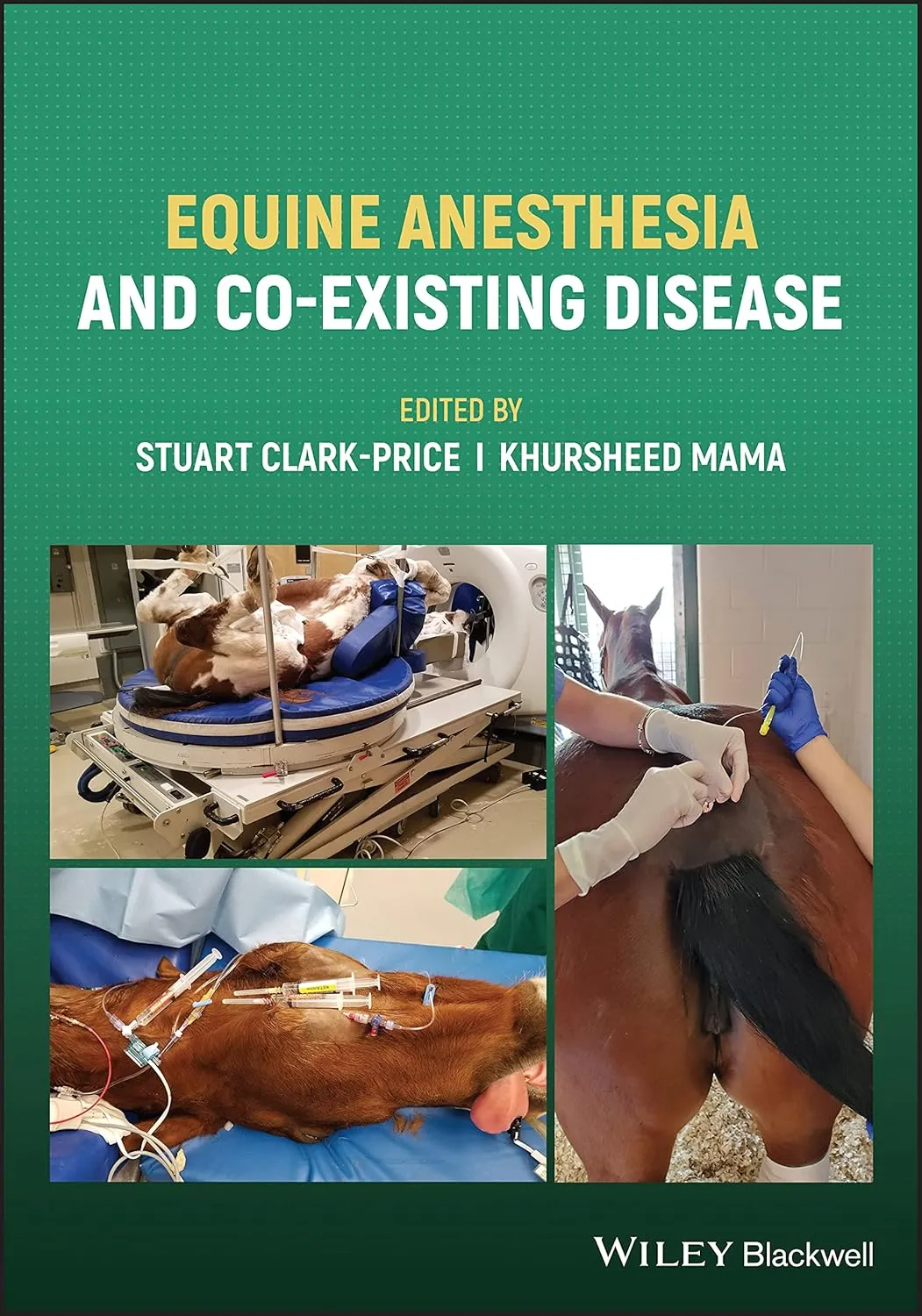 Equine Anesthesia And Co Existing Disease | Paperback
