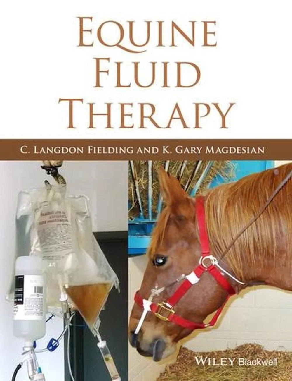 Equine Fluid Therapy | 1st Edition | Hardcover