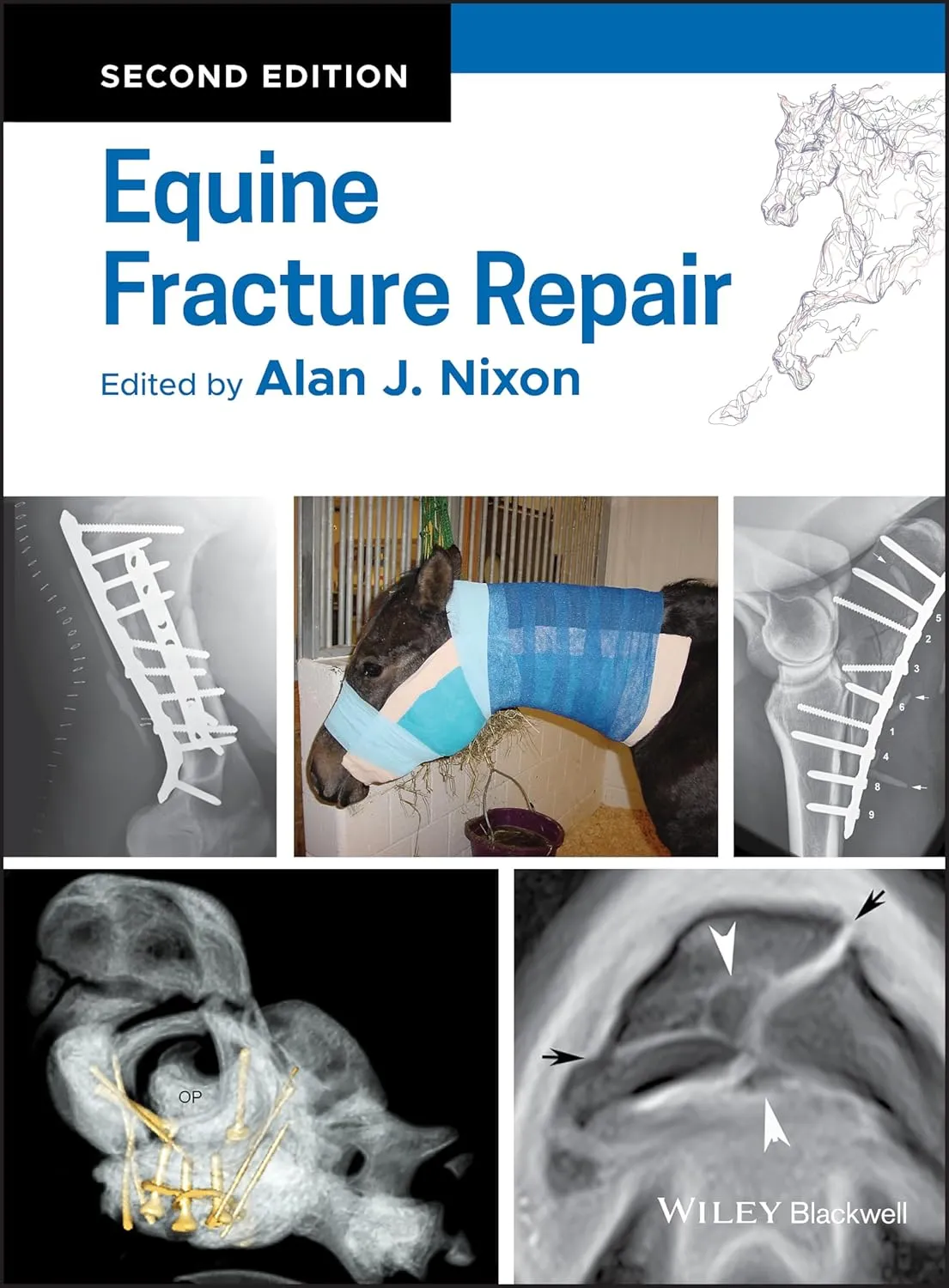 Equine Fracture Repair 2nd Edition | Hardcover