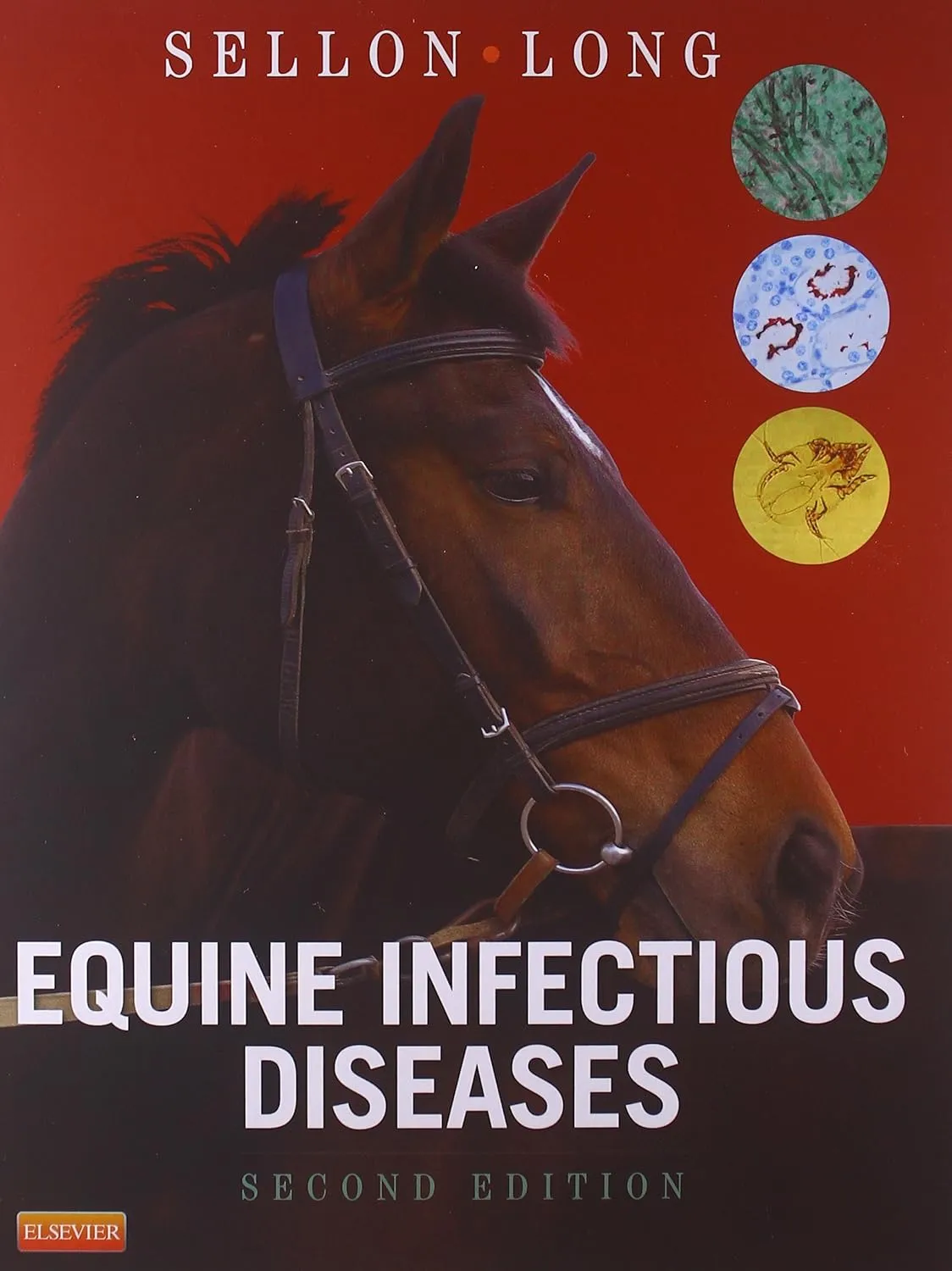 Equine Infectious Diseases | 2nd Edition | Hardcover