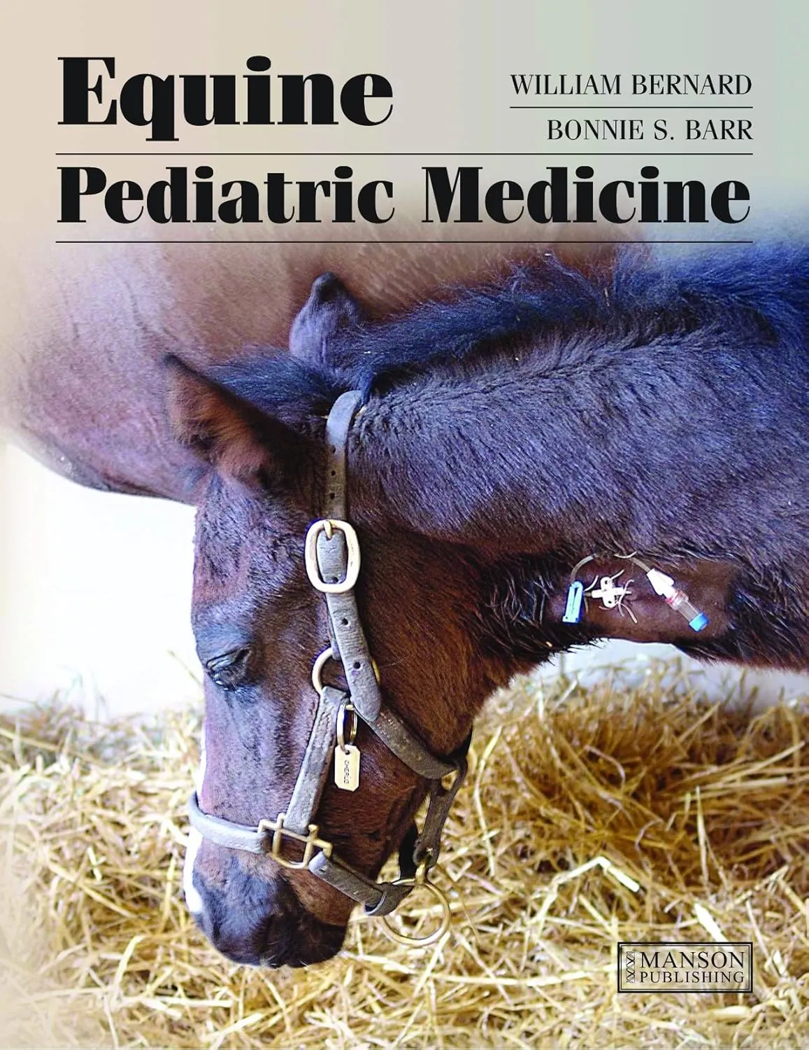 Equine Pediatric Medicine | Hardcover