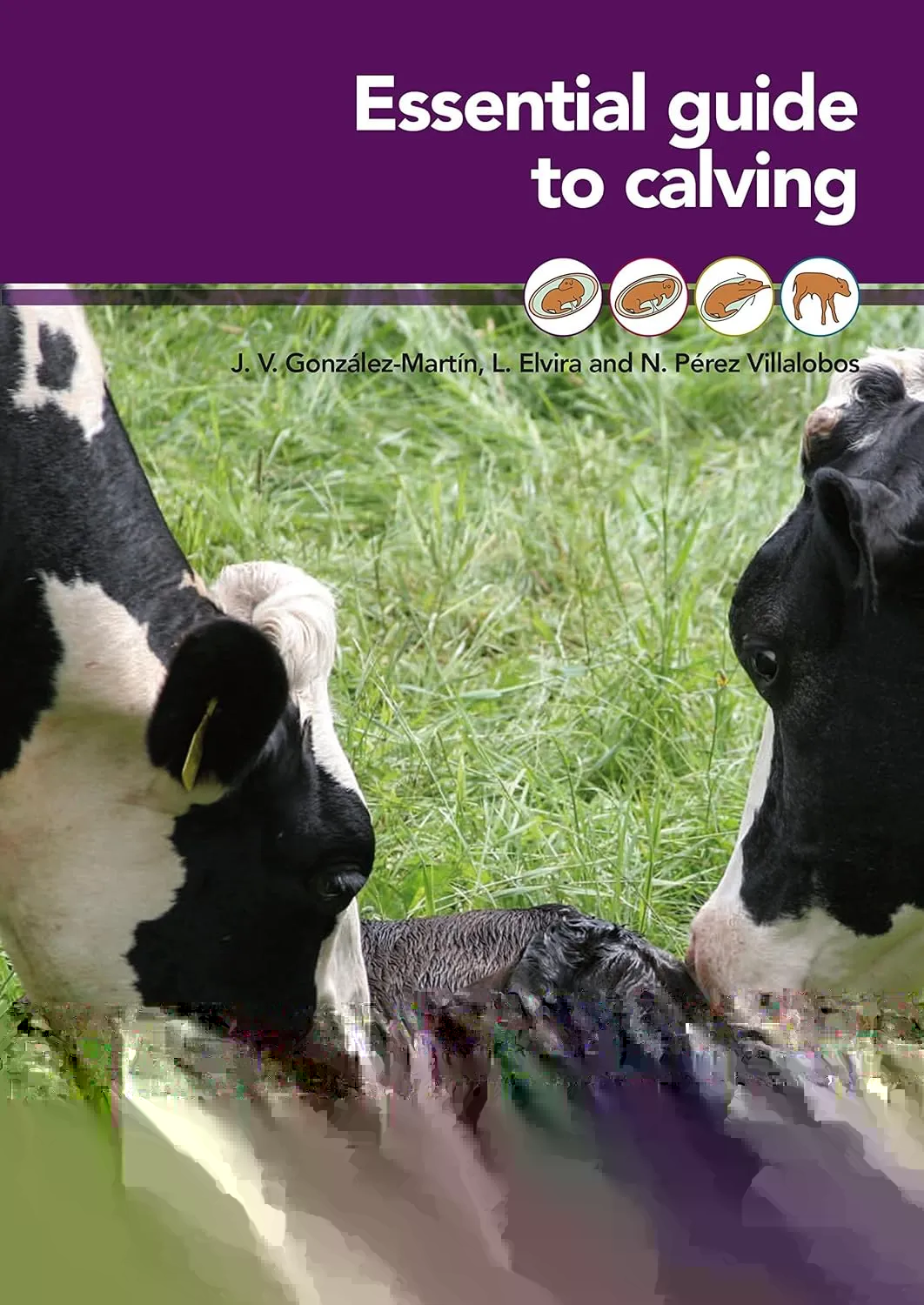 Essential Guide to Calving | Hardcover