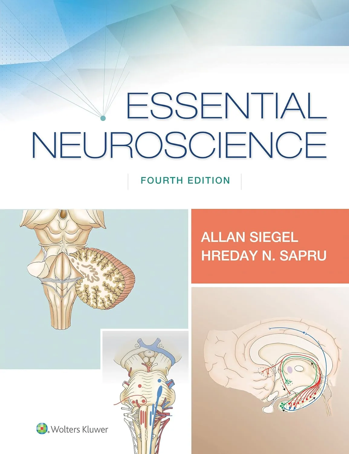 Essential Neuroscience | 4th Edition | Paperback