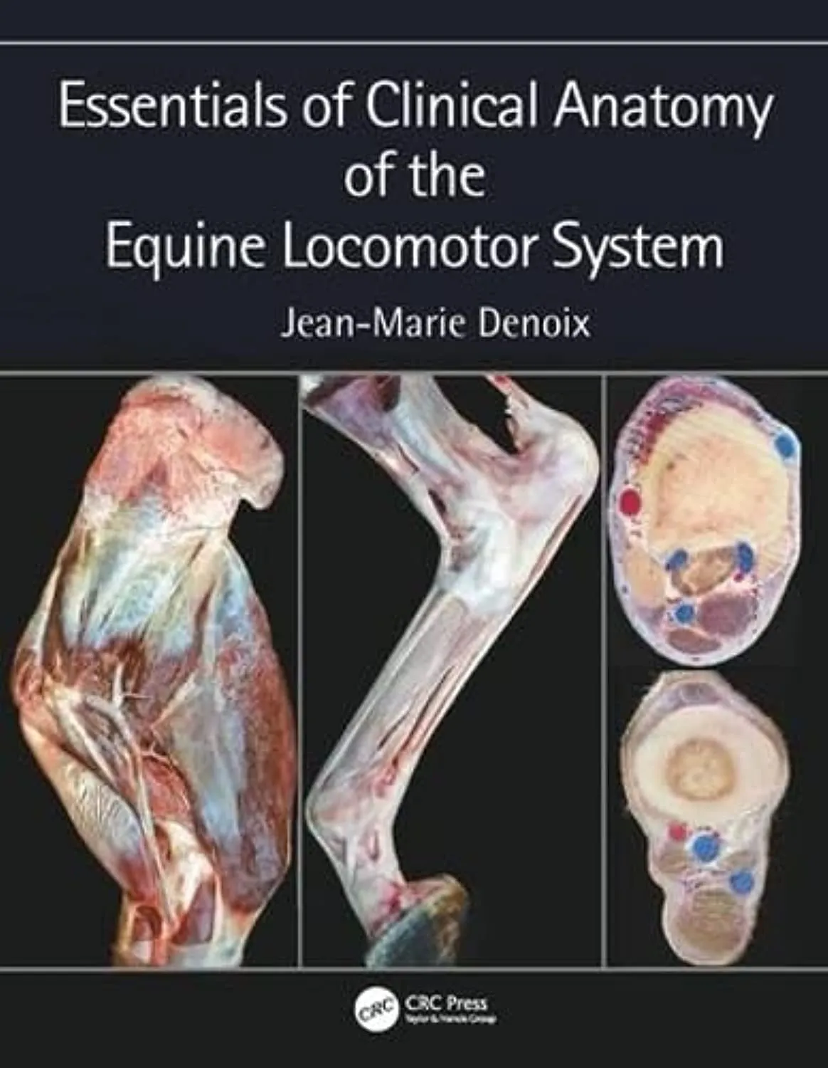 Essentials of Clinical Anatomy of the Equine Locomotor System | Hardcover