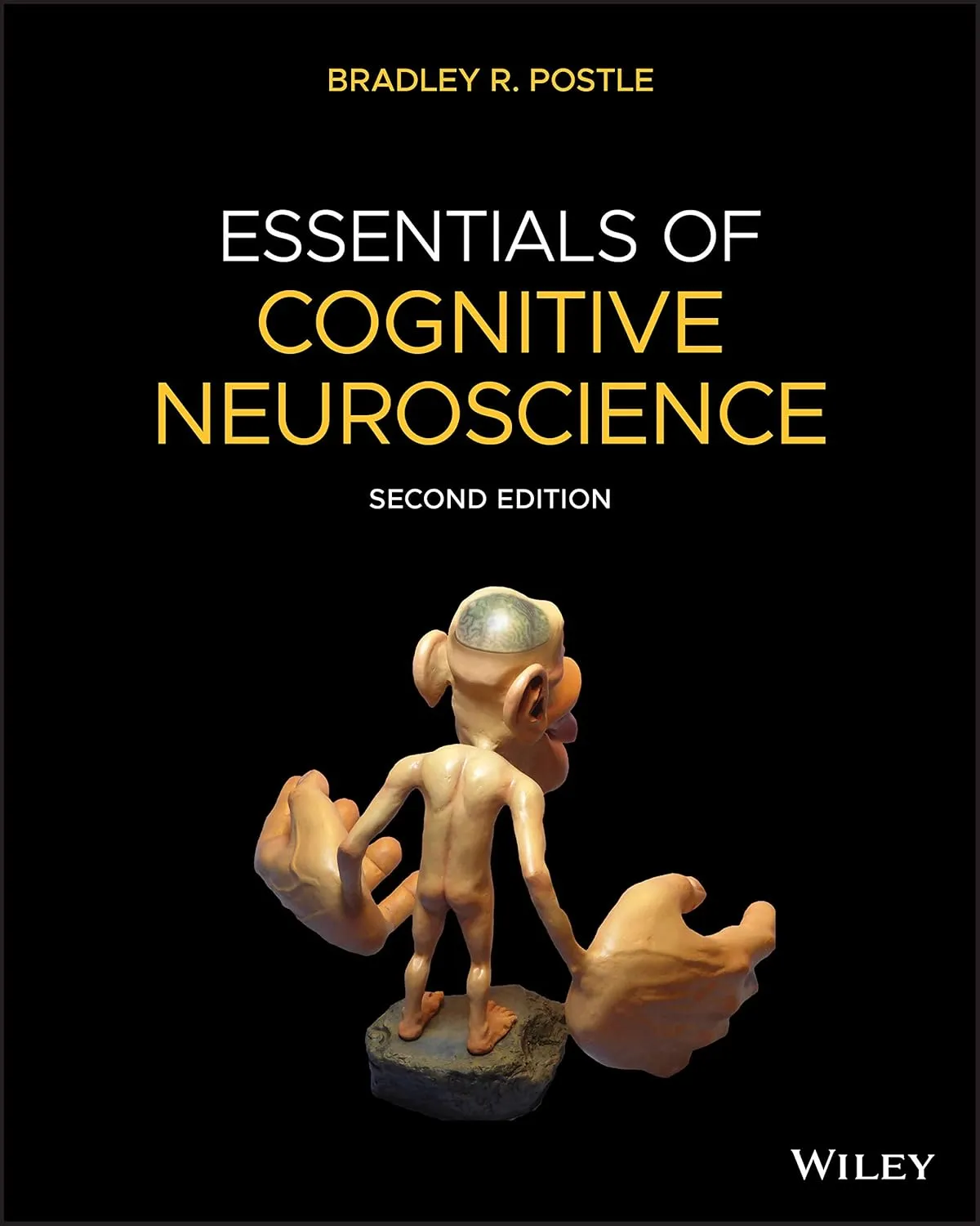 Essentials Of Cognitive Neuroscience 2nd Edition | Paperback