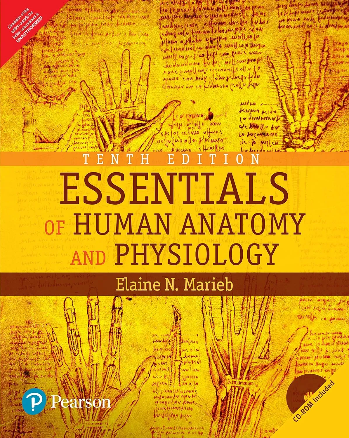 Essentials of Human Anatomy and Physiology | 10th Edition | Paperback