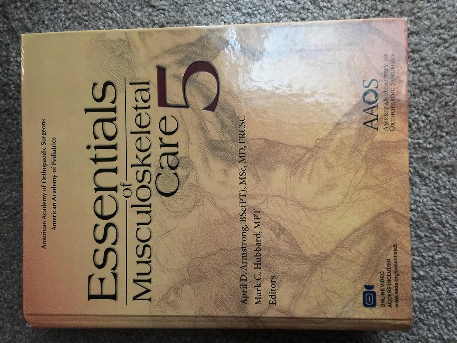 Essentials of Musculoskeletal Care | 5th Edition | Hardcover