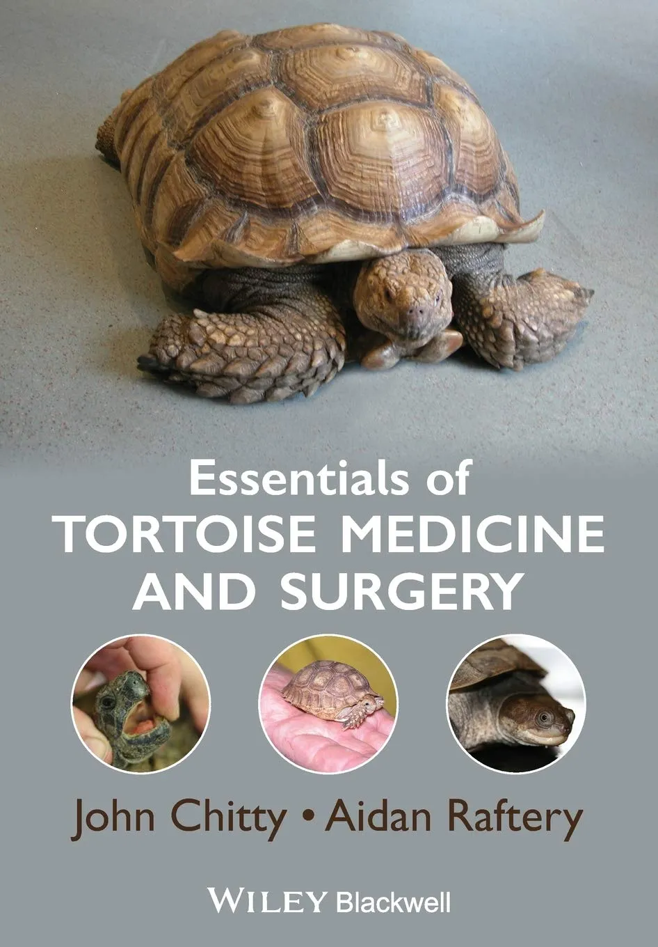 Essentials of Tortoise Medicine and Surgery | Paperback