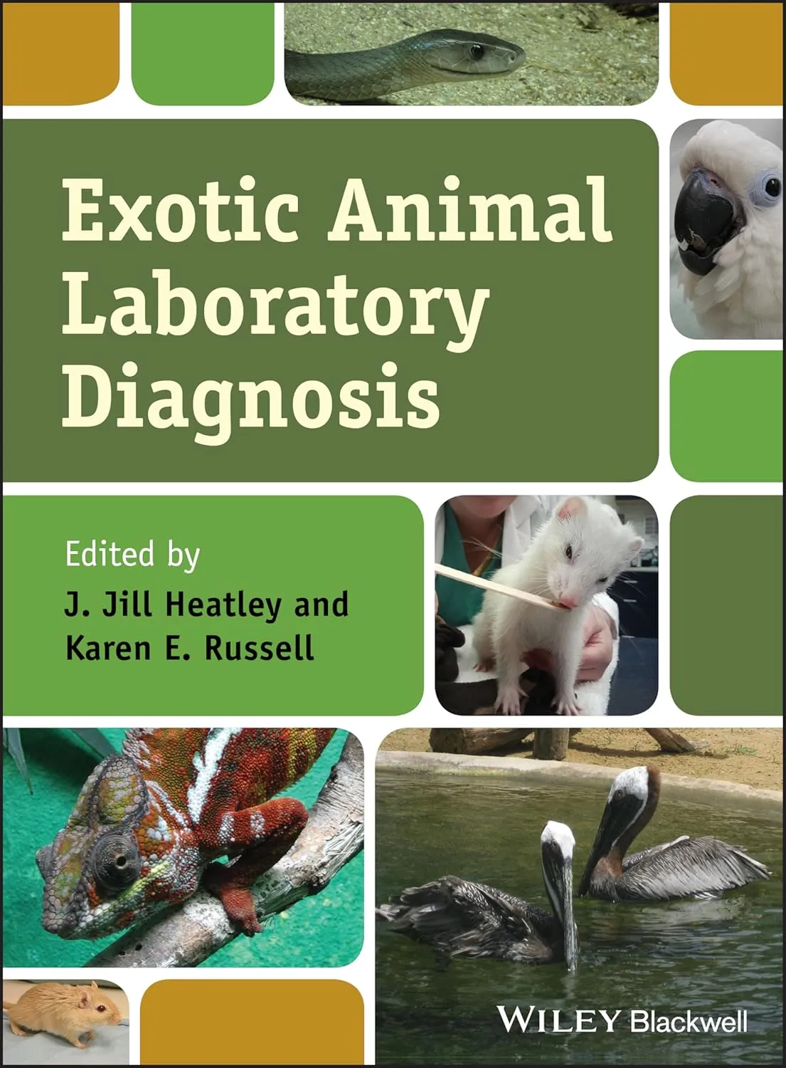 Exotic Animal Laboratory Diagnosis | Hardcover