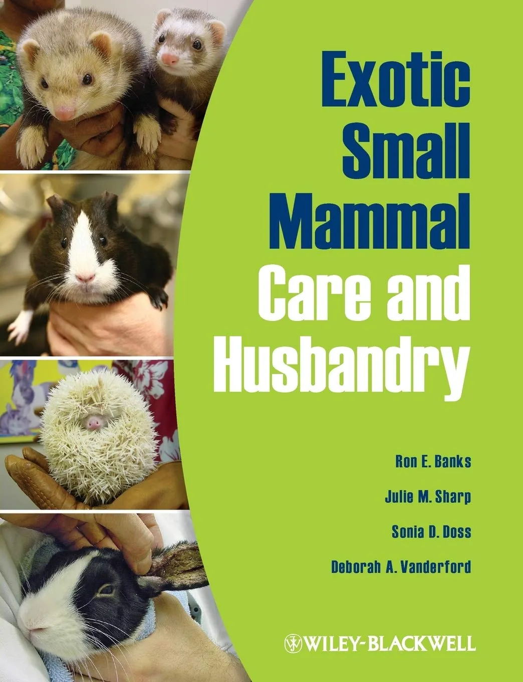 Exotic Small Mammal Care and Husbandry | Paperback