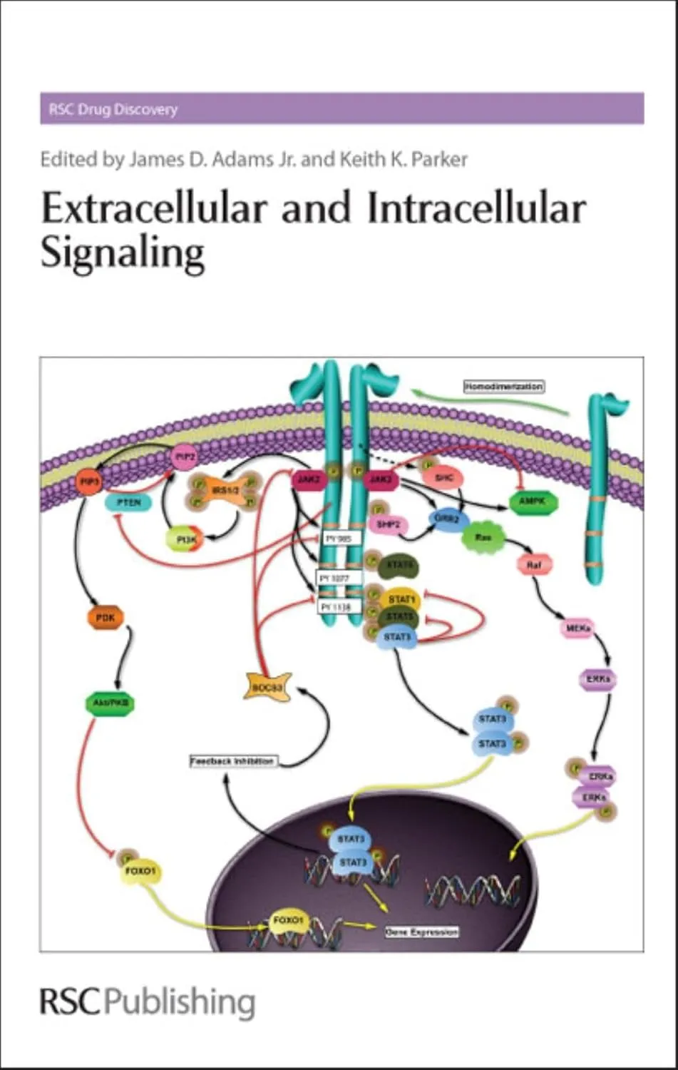 Extracellular and Intracellular Signaling | Hardcover