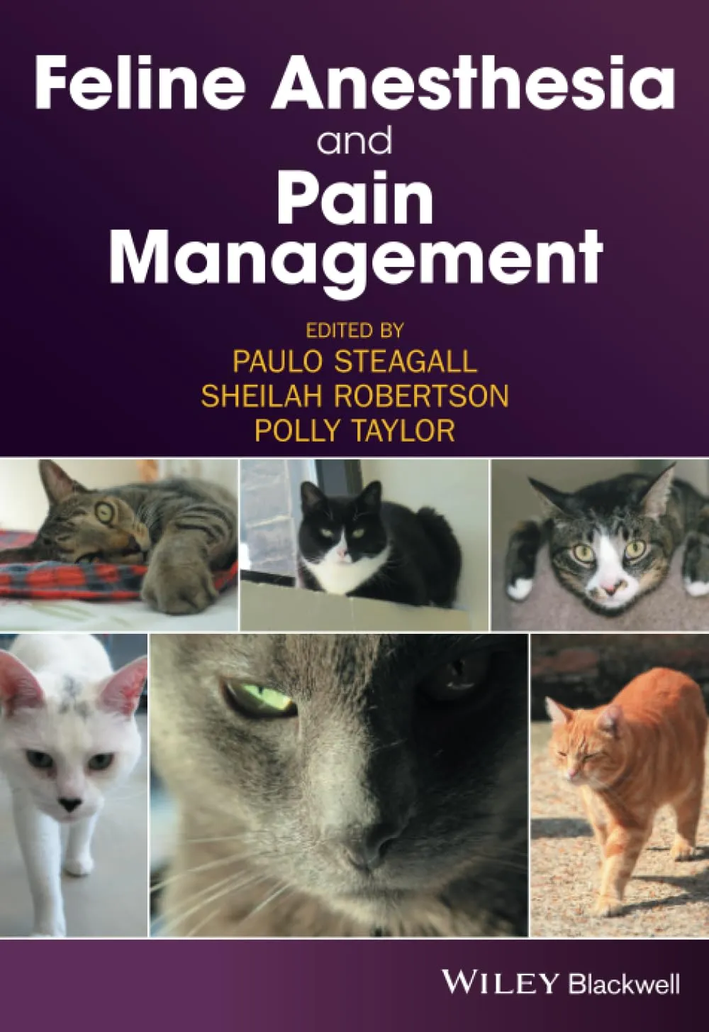 Feline Anesthesia and Pain Management | Paperback