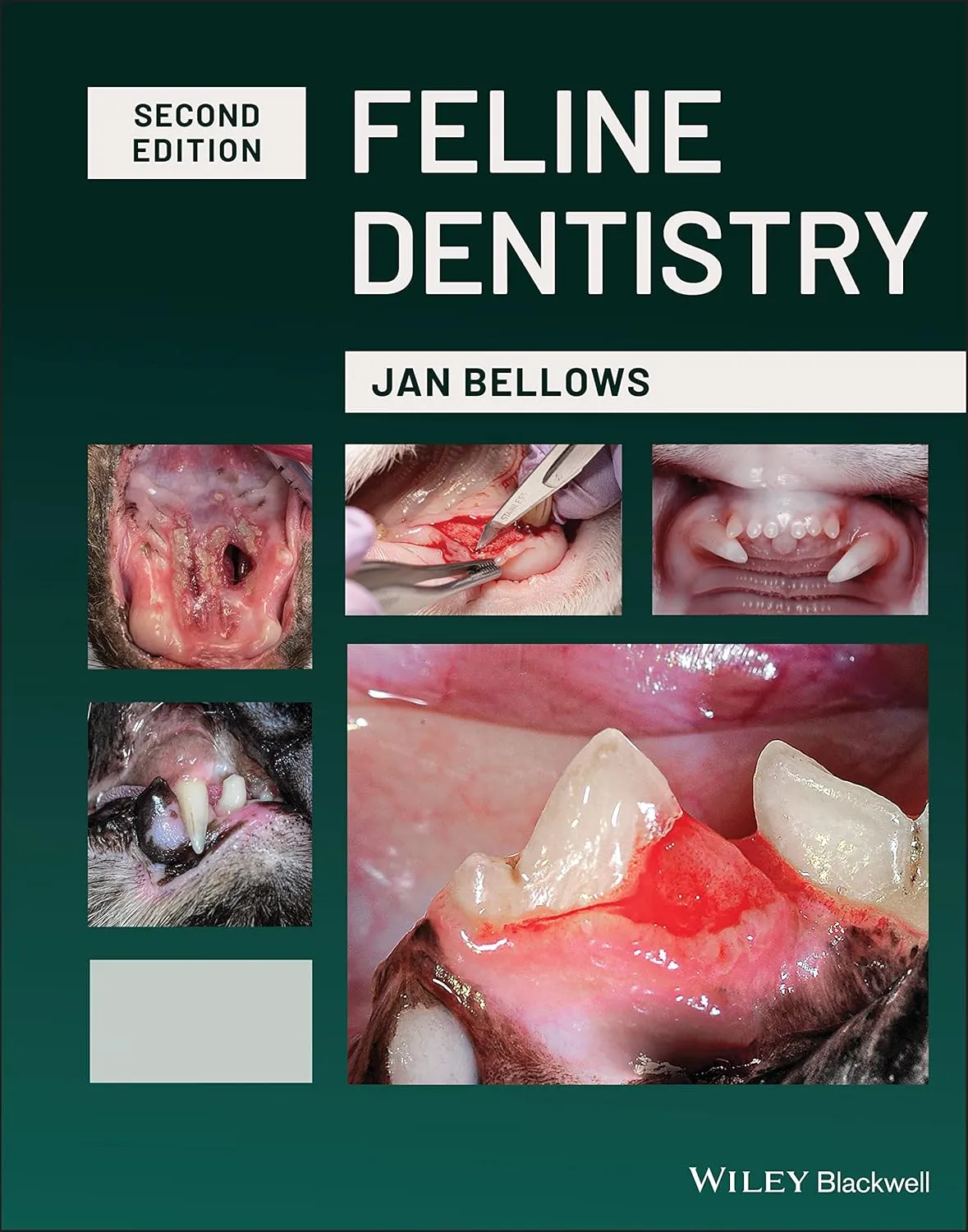 Feline Dentistry 2nd Edition | Hardcover