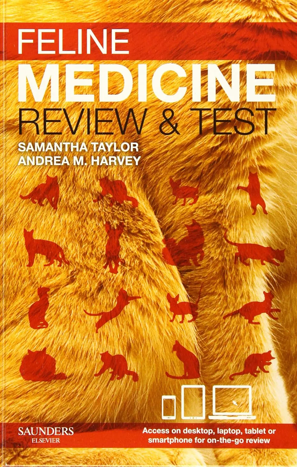 Feline Medicine Review and Test | Paperback