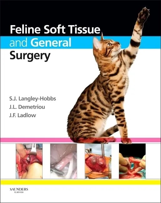 Feline Soft Tissue and General Surgery | Hardcover