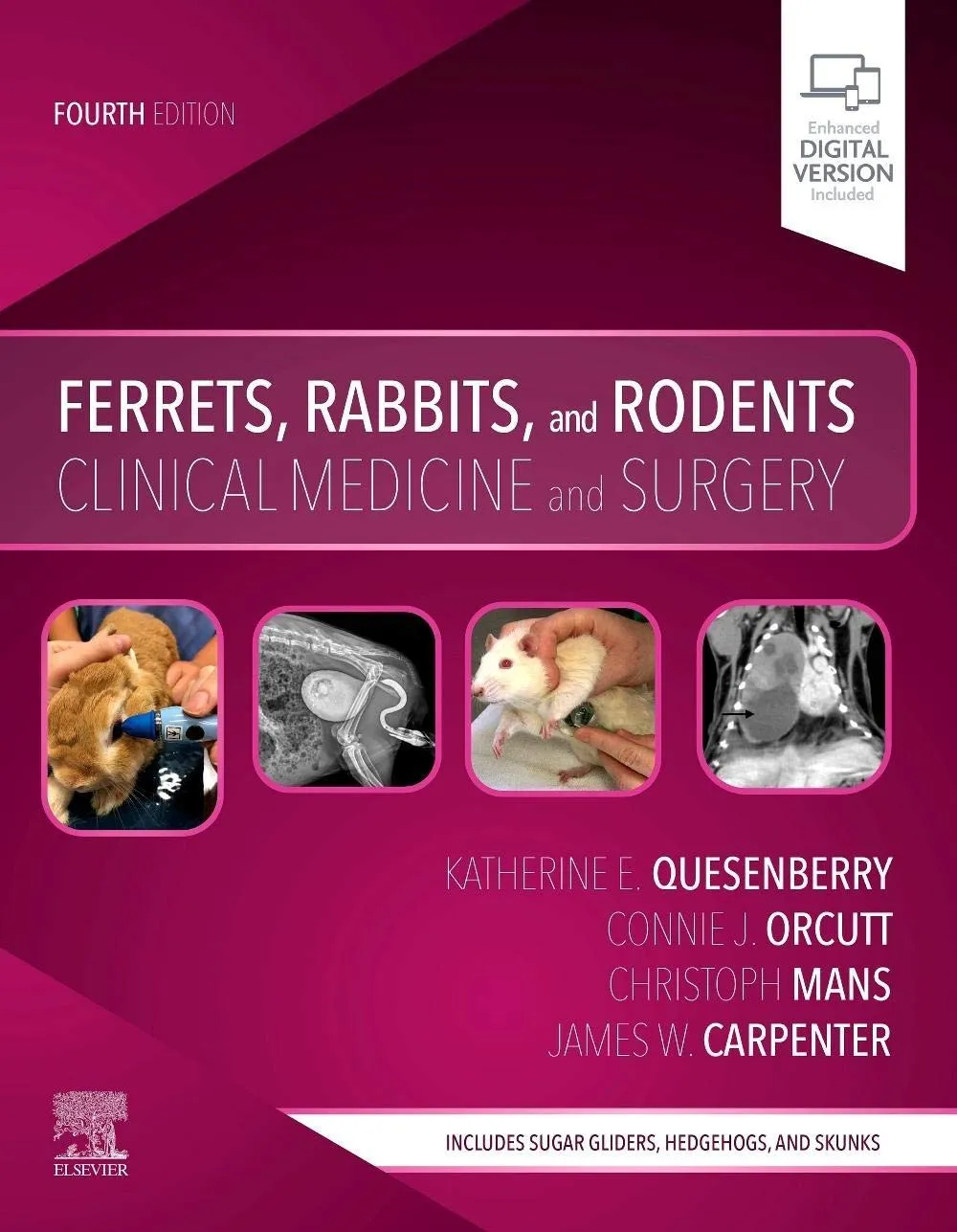Ferrets Rabbits And Rodents Clinical Medicine And Surgery | 4th Edition | Paperback