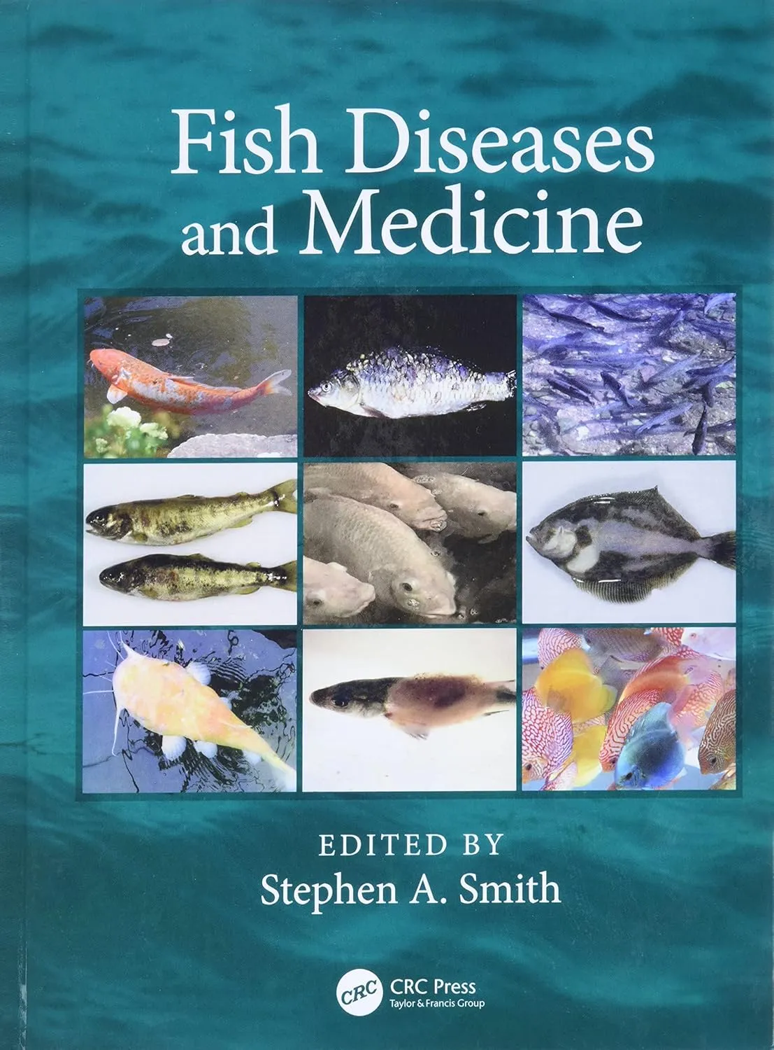 Fish Diseases and Medicine | Hardcover
