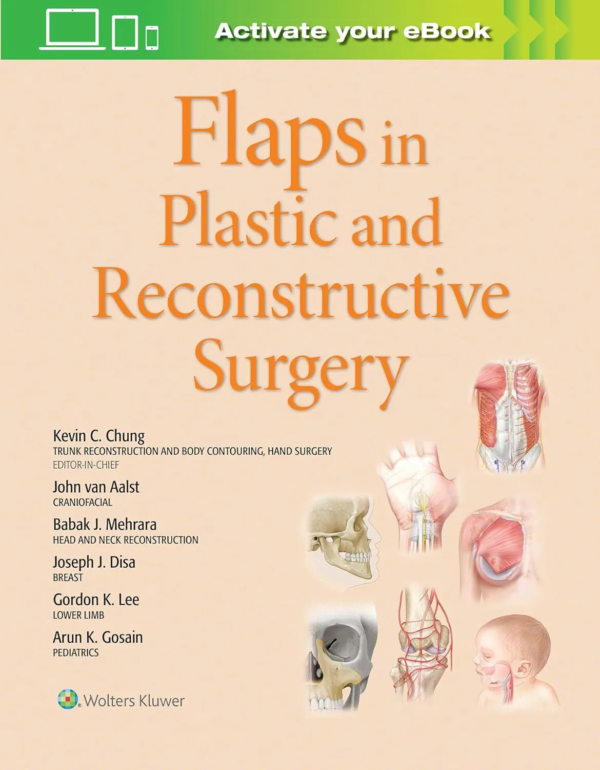 Flaps in Plastic and Reconstructive Surgery | Hardcover
