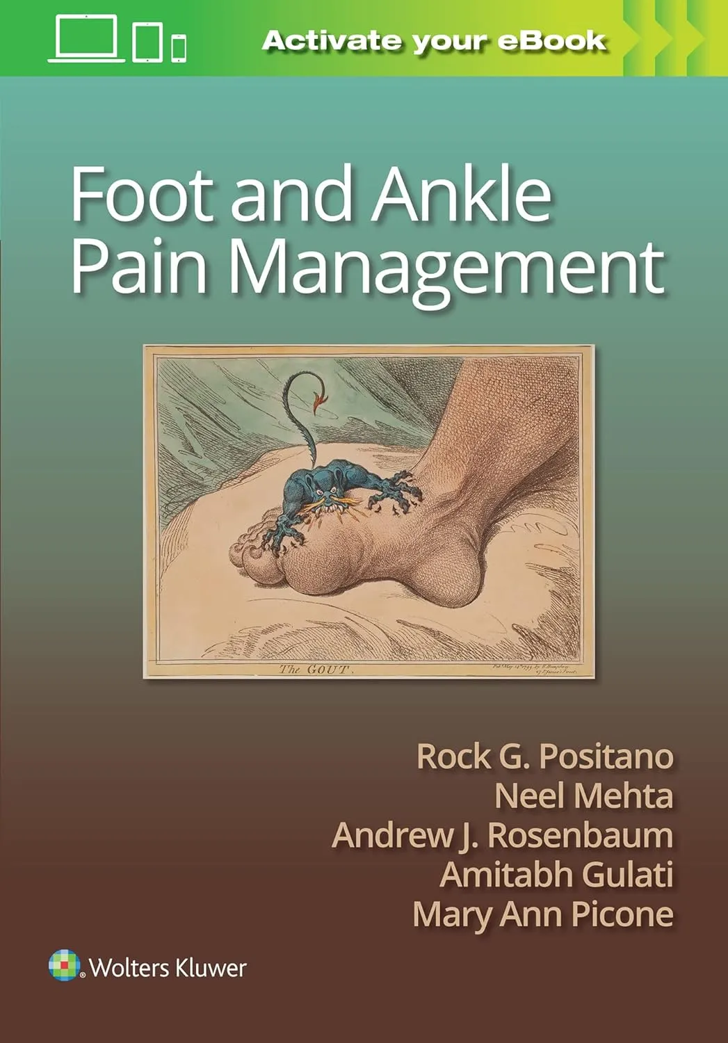 Foot and Ankle Pain Management With Access Code | Hardcover