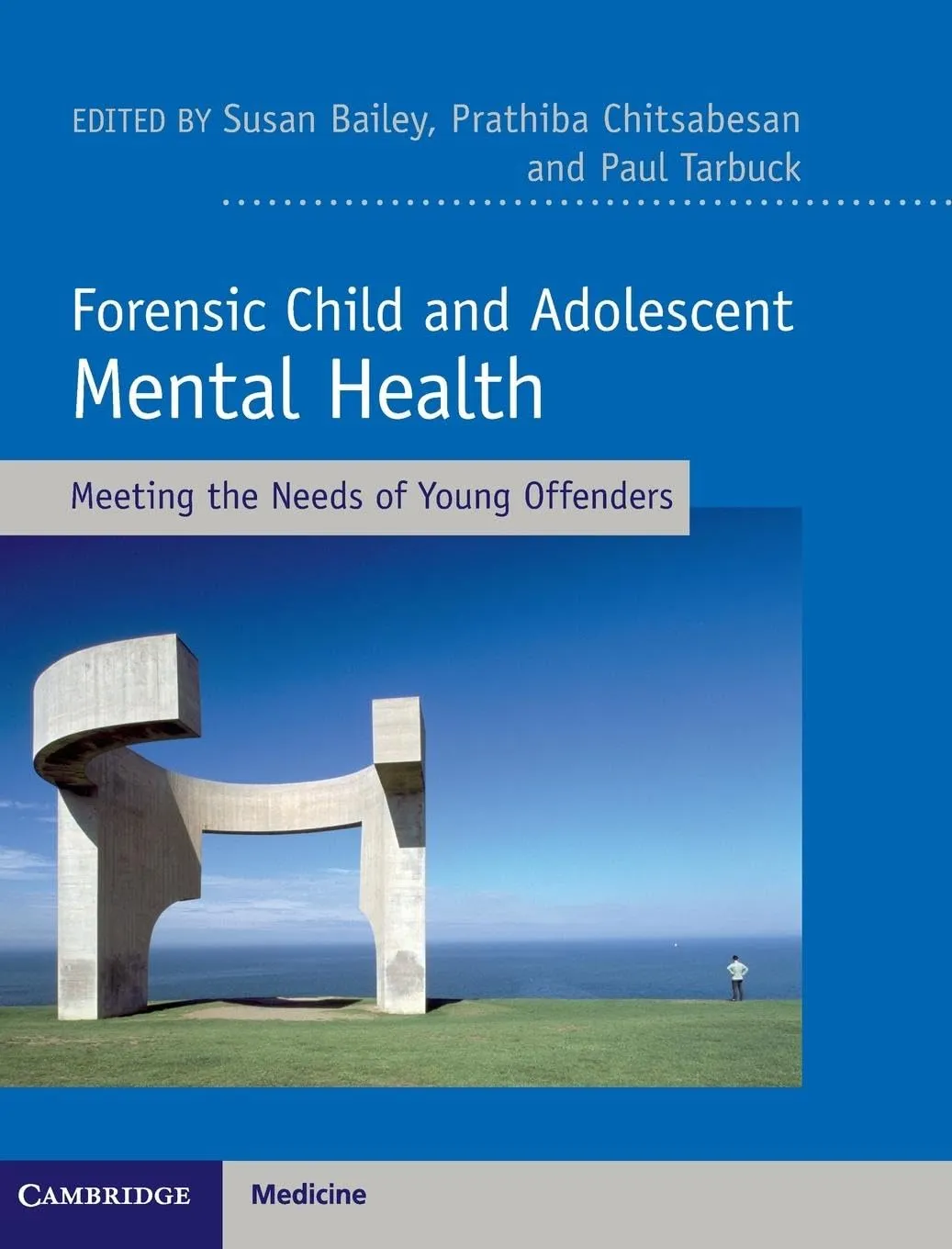 Forensic Child and Adolescent Mental Health | Hardcover