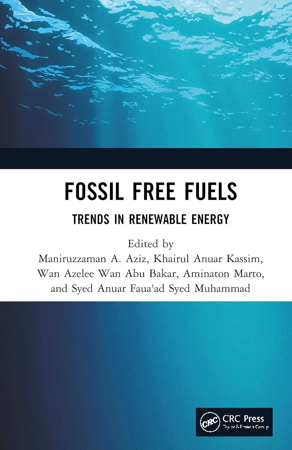 Fossil Free Fuels Trands in Renewable Energy | Hardcover