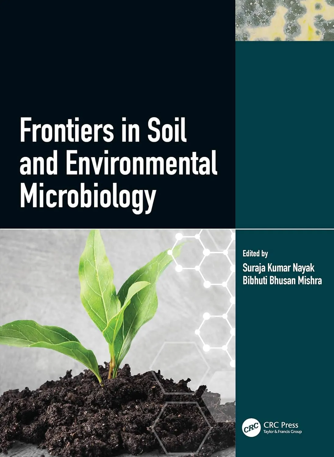 Frontiers In Soil And Environmental Microbiology | Hardcover