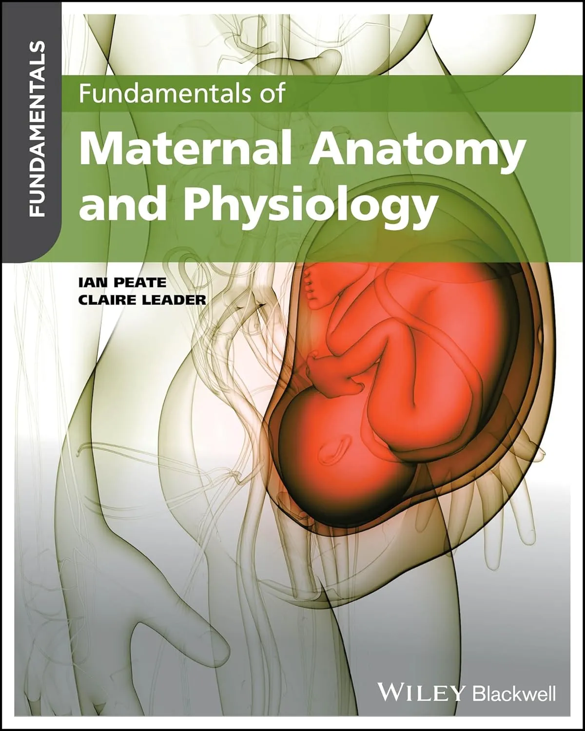 Fundamentals Of Maternal Anatomy And Physiology | Paperback