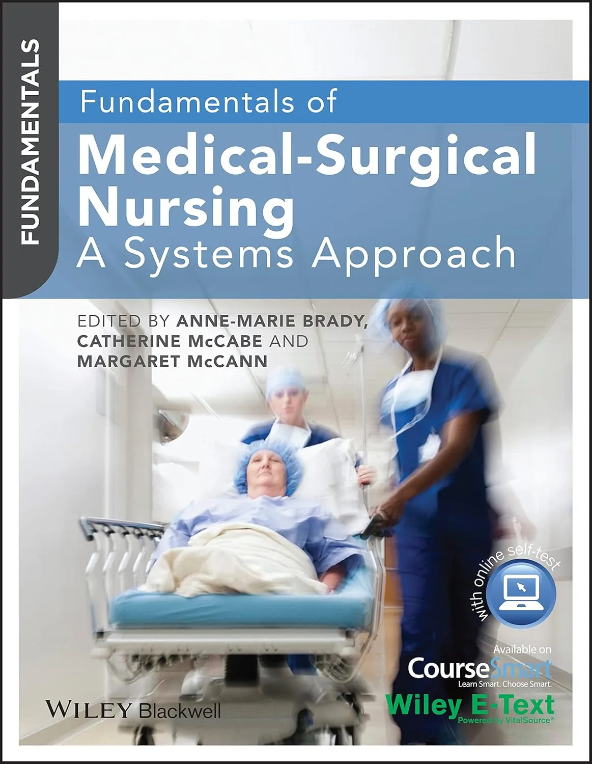 Fundamentals of Medical-Surgical Nursing A System Approach | Paperback