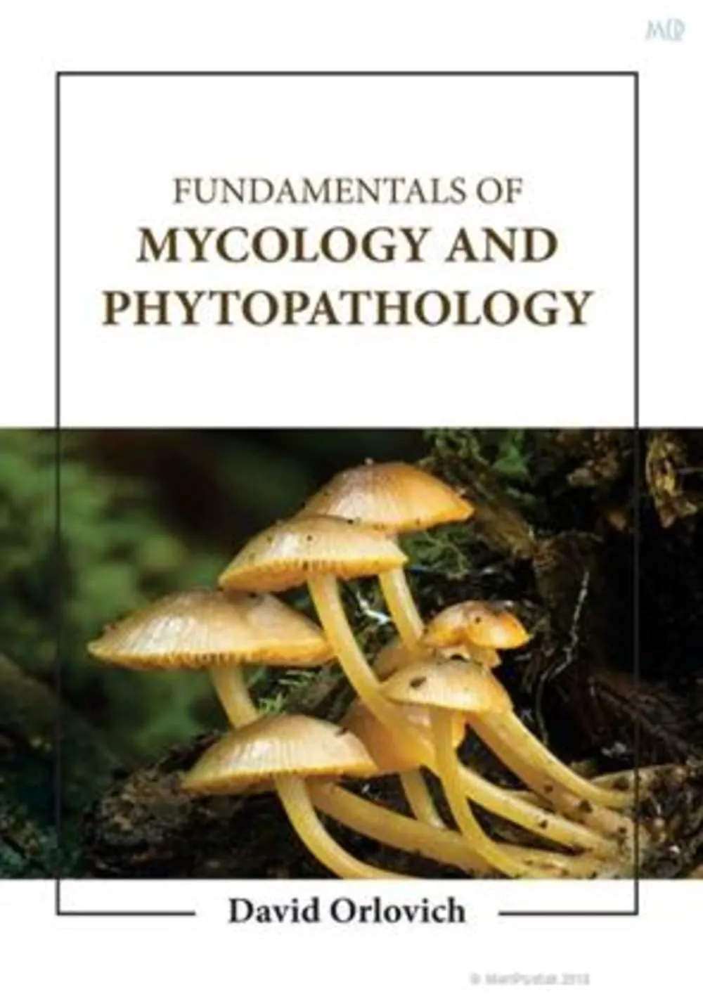 Fundamentals Of Mycology And Phytopathology | Hardcover