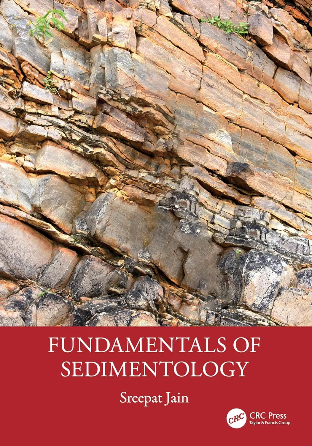 Fundamentals Of Sedimentology | Hardcover