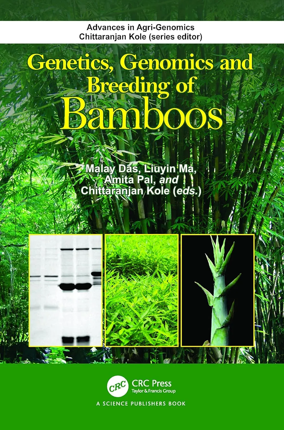 Genetics Genomics And Breeding Of Bamboos | Hardcover