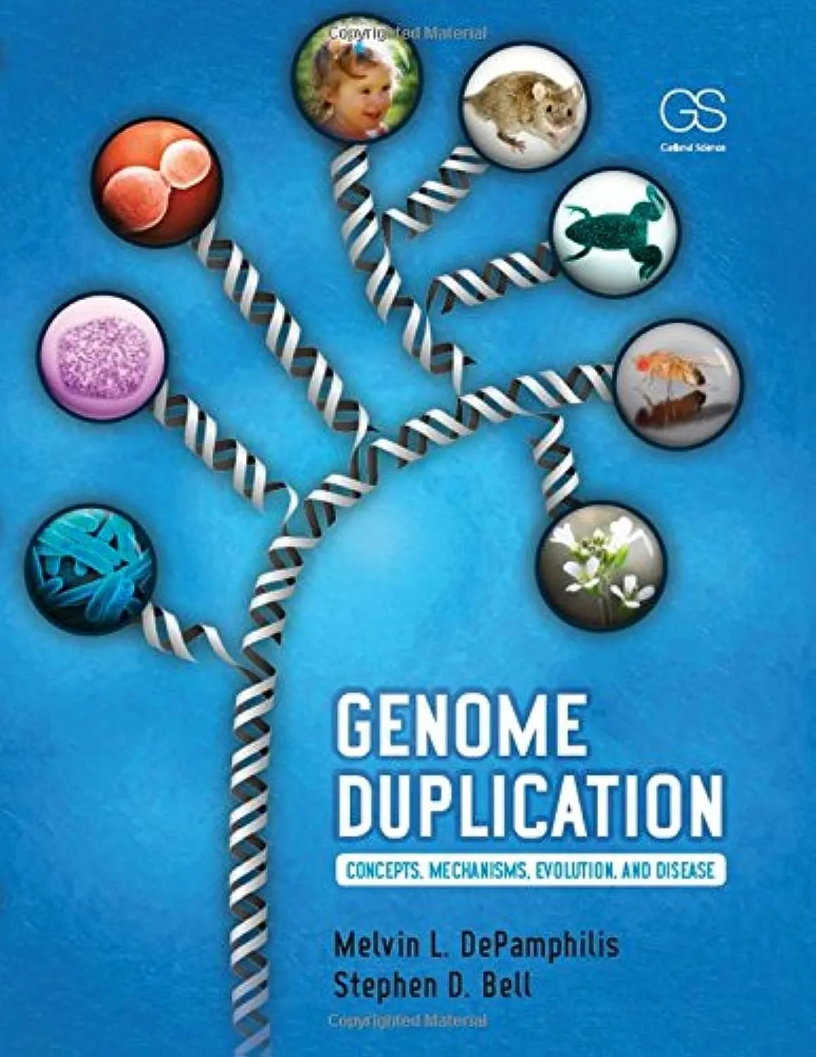 Genome Duplication Concepts | Mechanisms | Evolution and Disease | Paperback