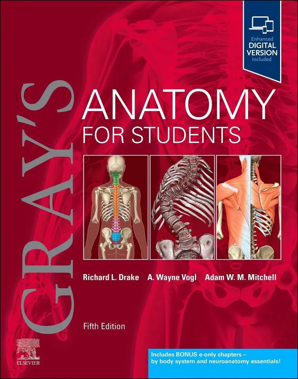 Grays Anatomy For Students With Access Code 5th Edition | Paperback