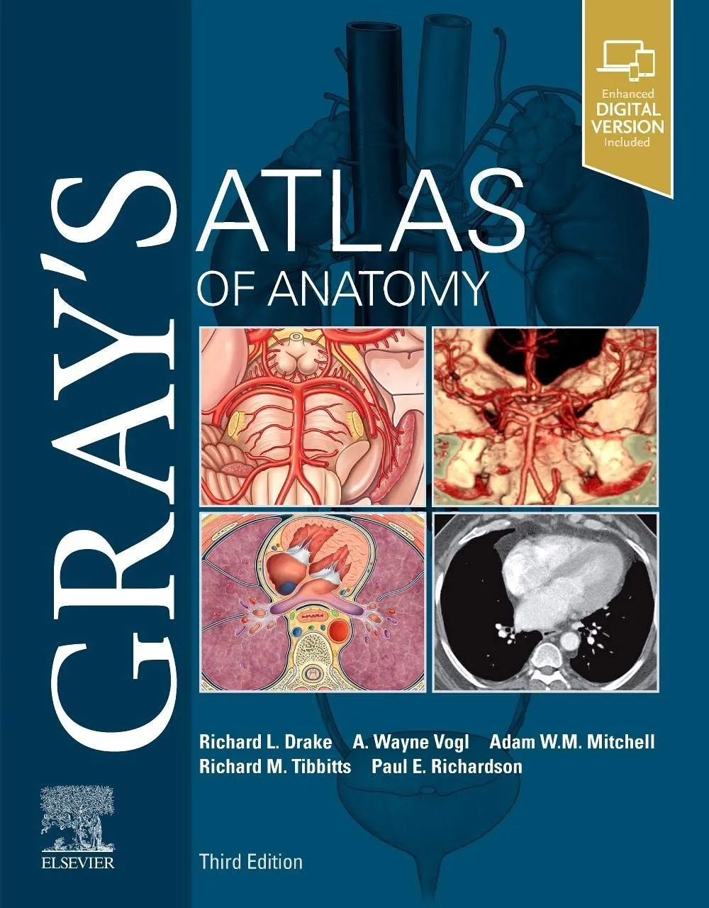 Gray's Atlas of Anatomy | Third Edition | Paperback